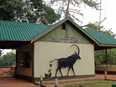 Shimba-Hills-National-Reserve-Kenya