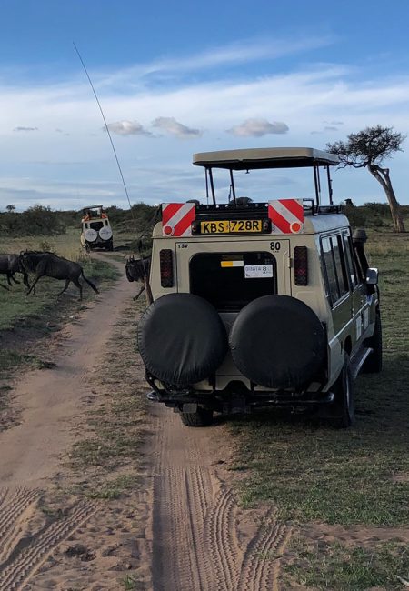 slider-kenya-wildife-viewing-drive