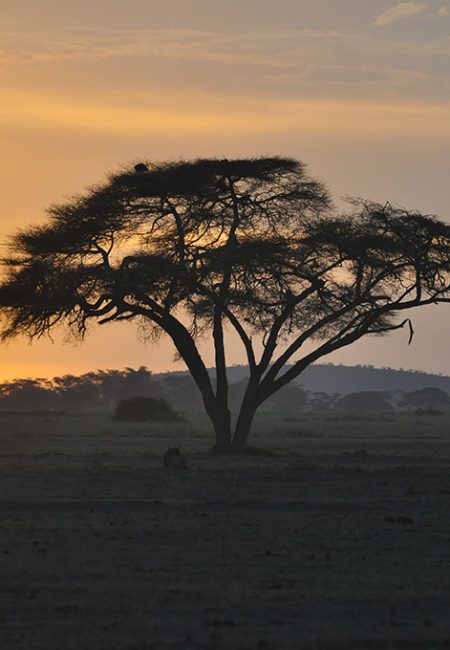 sunset-amboseli-national-park